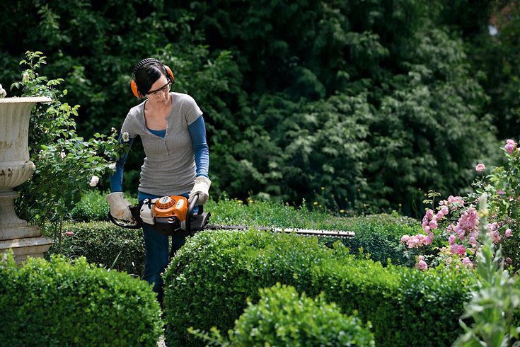 Stihl cut