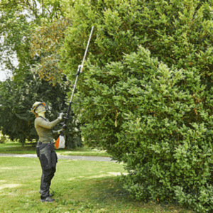 Battery Long-Reach Hedgetrimmers