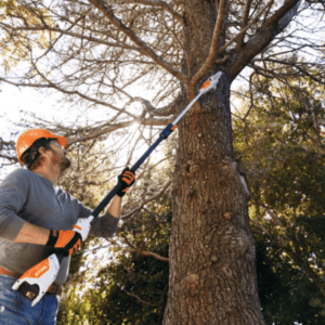 Pole Pruners & Accessories